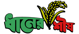 Dhaner Shish Logo
